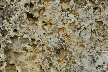 Sedimentary rock piece in stone-pit area at Zavet town, Bulgaria