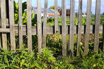 wooden fence with a hole. loophole in a wooden fence that protects the farm field and garden