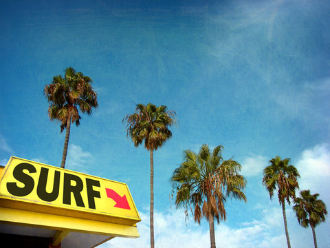 aged and worn vintage photo of surf sign with palm trees