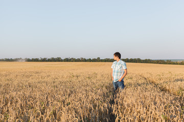man on wheat field