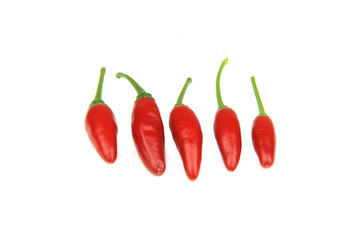 Red chilli