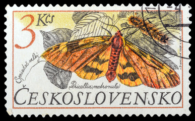 CZECHOSLOVAKIA- CIRCA 1987: a stamp printed in the Czechoslovakia, shows butterfly Pericallia...