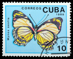 Fototapeta na wymiar CUBA- CIRCA 1989: a stamp printed in the Cuba, shows butterfly Mynes Sestia, series Butterflies, circa 1989