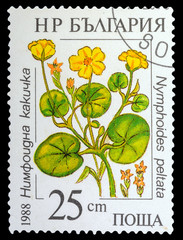 BULGARIA - CIRCA 1988: a stamp printed in the Bulgaria, shows Wildflowers, series, circa 1988