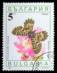 BULGARIA - CIRCA 1990: a stamp printed in the Bulgaria, shows butterfly zerinthia polyxena, series...