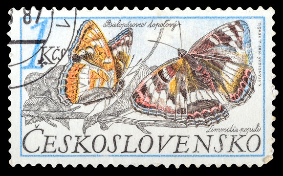 CZECHOSLOVAKIA- CIRCA 1987: a stamp printed in the Czechoslovakia, shows butterfly Limenitis populi, series Butterflies, circa 1987