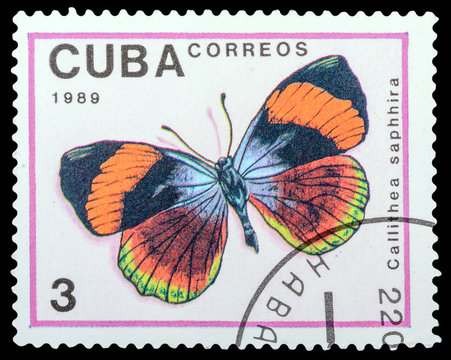 CUBA- CIRCA 1989: a stamp printed in the Cuba, shows  butterfly Callithea saphhira, series Butterflies, circa 1989