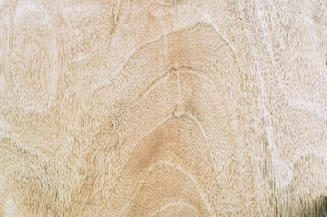 Texture of wood background closeup