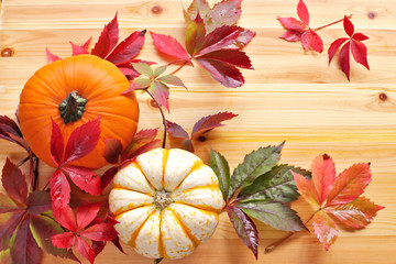 Pumpkins with wild grapes leaves on wooden background. top view 