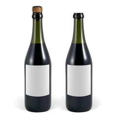 open and closed bottle of sparkling wine or champagne