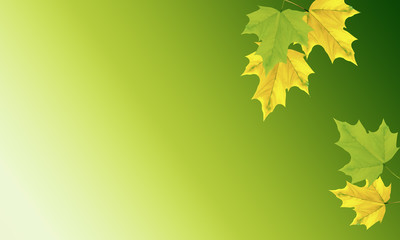 Fototapeta premium Falling autumn leaves