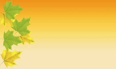 Falling autumn leaves