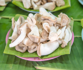 mushroom, closeup mushroom in the market place of Thailand