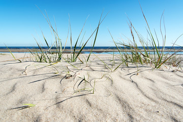 Fototapeta na wymiar Baltic sea coast.