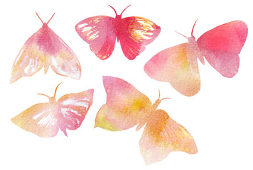 A collection of watercolour butterflies on white background