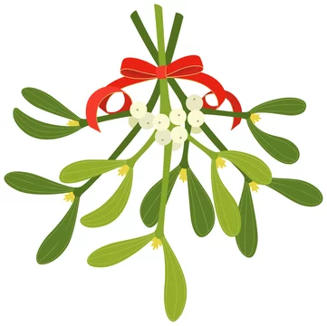 Mistletoe with red bow and curly ribbon, isolated on white background