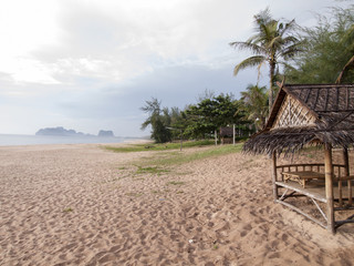 beautiful beach and tropical sea