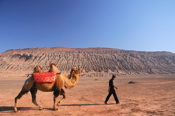 Camels at Flaming Mountains or Gaochang Mountains are barren, eroded, red sandstone hills in Tian Shan Mountain range, Xinjiang, China.