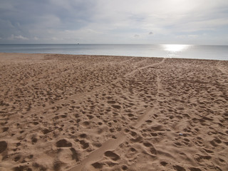 beautiful beach and tropical sea