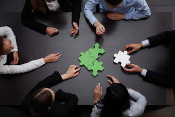 business team solving puzzle