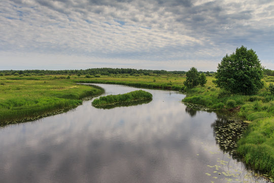 Тихая речка