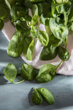 spinach leaves on wooden background