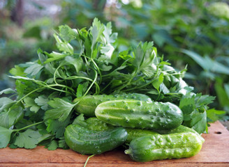 Cucumbers and bunch of parsley on a kitchen board