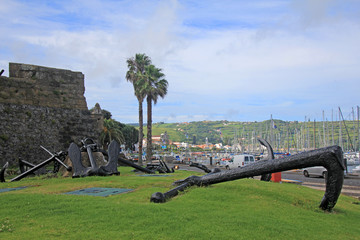 Azoren Faial Horta Portugal 
