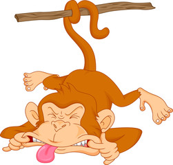 cute baby monkey cartoon 