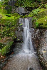 Fototapeta na wymiar Sai Tip waterfall