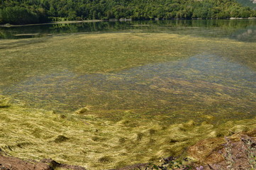 Tras la lluvia todo flota en el agua