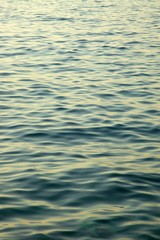 Water surface