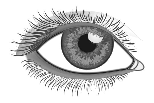 recommend clip art: Realistic Eye Close-Up