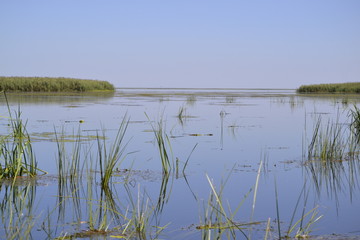 Раскаты Волги.