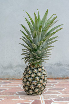Pineapple on stone floor tiles with cement background