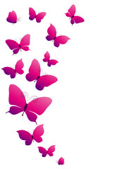 butterflies design