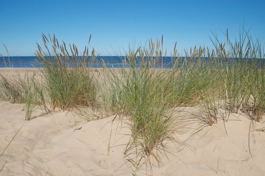 white dune near Riga, Latvia © vkhom68