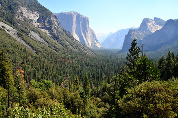 Obraz premium Yosemite