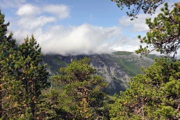 Fototapeta premium Norwegian nature / There are mountains plunging into the sea from hundreds of metres, fjords, tall mountain peaks, northern lights and midnight sun.