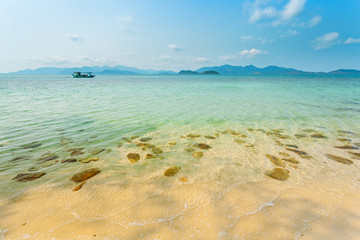 Tropical sea beach, summer vacation