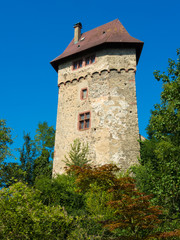 Obraz premium Emmendingen Burg Sponeck