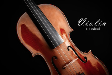 Fototapeta premium Classical violin on dark background