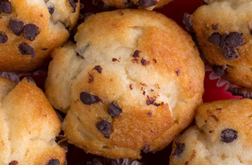 Chocolate chip muffins