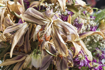 Dead dried flower bouquet close up