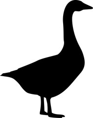 Goose profile