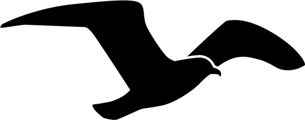 Obraz premium Mewa latająca sylwetka