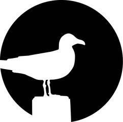 Obraz premium Seagull sitting on a wooden pole