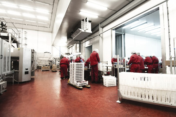 Employed people work in the food industry. Line for inspection and packaging frozen food.