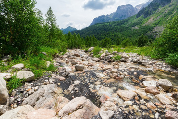 Brook in the North Caucasus.