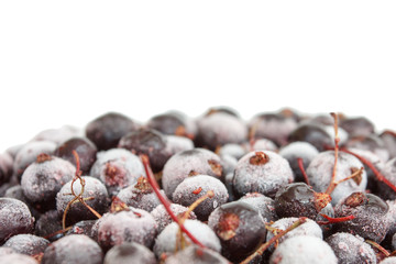 Macro shot of a Frozen black currant